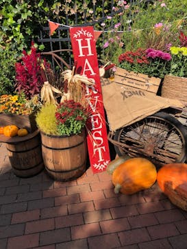 横浜イングリッシュガーデンに投稿された画像（2024/2/11）