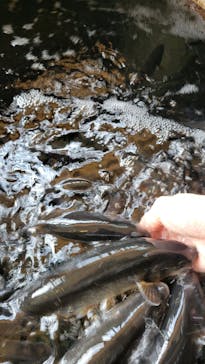 新江ノ島水族館に投稿された画像（2024/2/11）