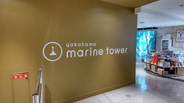 横浜マリンタワーに投稿された画像（2024/2/11）