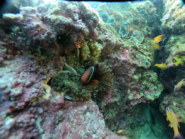 武藤潜水に投稿された画像（2024/2/11）