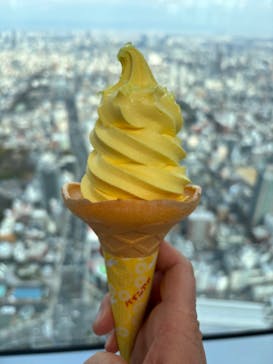 ハルカス300(展望台)に投稿された画像（2024/2/11）