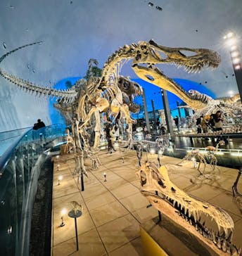 福井県立恐竜博物館に投稿された画像（2024/2/11）
