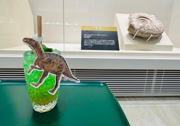 福井県立恐竜博物館に投稿された画像（2024/2/11）