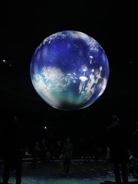 NIFREL（ニフレル）に投稿された画像（2024/2/11）