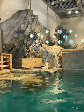 NIFREL（ニフレル）に投稿された画像（2024/2/11）