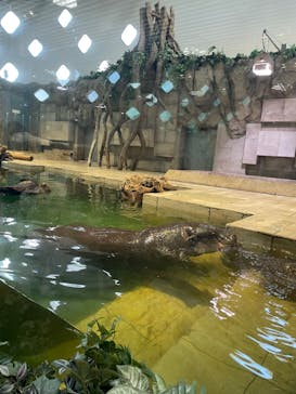 NIFREL（ニフレル）に投稿された画像（2024/2/11）