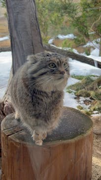 那須どうぶつ王国に投稿された画像（2024/2/11）