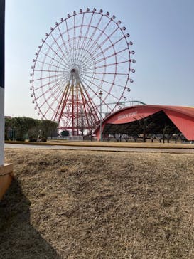 グリーンランドに投稿された画像（2024/2/11）