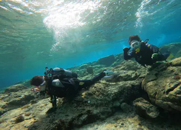 武藤潜水に投稿された画像（2024/2/11）