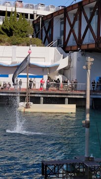 伊豆・三津シーパラダイスに投稿された画像（2024/2/11）