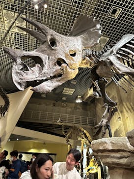 国立科学博物館に投稿された画像（2024/2/11）