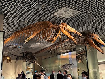 国立科学博物館に投稿された画像（2024/2/11）