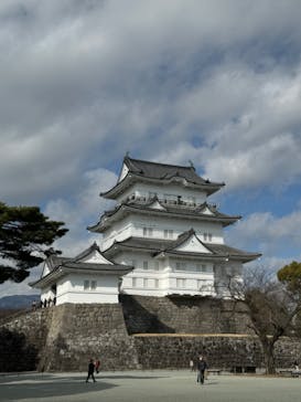 小田原城に投稿された画像（2024/2/11）