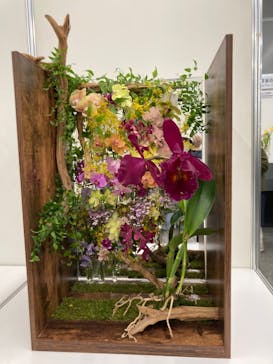 世界らん展2026-花と緑の祭典-に投稿された画像（2024/2/11）