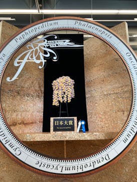 世界らん展2026-花と緑の祭典-に投稿された画像（2024/2/11）