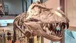 福井県立恐竜博物館に投稿された画像（2024/2/11）