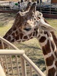 日立市かみね動物園に投稿された画像（2024/2/11）