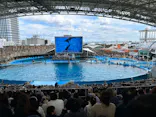 名古屋港水族館に投稿された画像（2024/2/11）