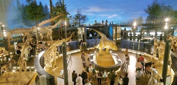 福井県立恐竜博物館に投稿された画像（2024/2/11）