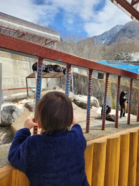 奥飛騨クマ牧場に投稿された画像（2024/2/11）