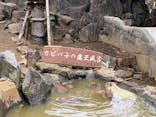伊豆シャボテン動物公園に投稿された画像（2024/2/11）