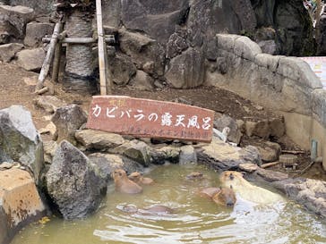 伊豆シャボテン動物公園に投稿された画像（2024/2/11）