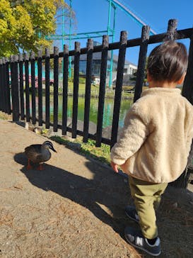 とちのきファミリーランドに投稿された画像（2024/2/11）