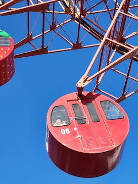 とちのきファミリーランドに投稿された画像（2024/2/11）