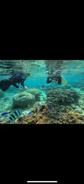 武藤潜水に投稿された画像（2024/2/11）