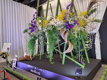 世界らん展2026-花と緑の祭典-に投稿された画像（2024/2/11）