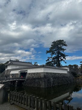 小田原城に投稿された画像（2024/2/11）