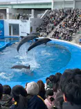 仙台うみの杜水族館に投稿された画像（2024/2/11）