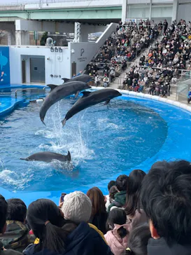 仙台うみの杜水族館に投稿された画像（2024/2/11）