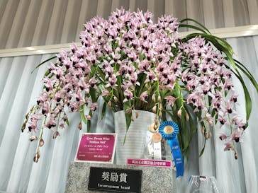 世界らん展2026-花と緑の祭典-に投稿された画像（2024/2/11）