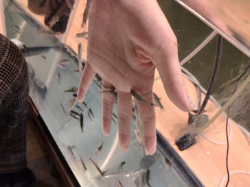 淡路ファームパーク イングランドの丘に投稿された画像（2024/2/11）