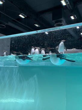 AOAO SAPPOROに投稿された画像（2024/2/11）