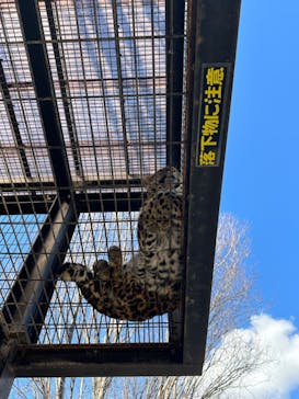 群馬サファリパークに投稿された画像（2024/2/11）