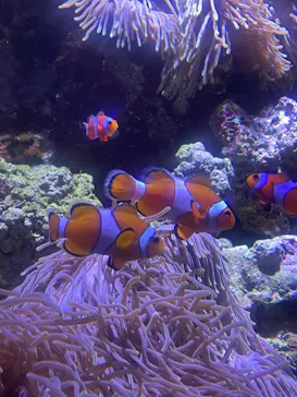 仙台うみの杜水族館に投稿された画像（2024/2/11）