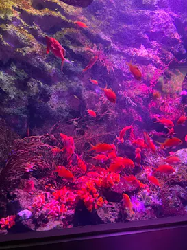 仙台うみの杜水族館に投稿された画像（2024/2/11）