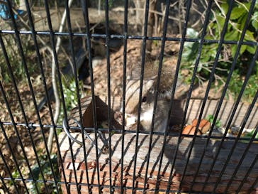 環境水族館アクアマリンふくしまに投稿された画像（2024/2/11）