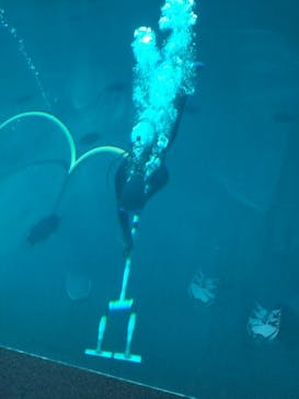 環境水族館アクアマリンふくしまに投稿された画像（2024/2/11）