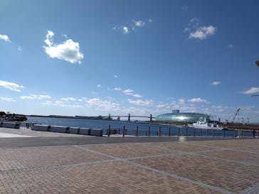 環境水族館アクアマリンふくしまに投稿された画像（2024/2/11）