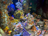 サンシャイン水族館に投稿された画像（2024/2/11）