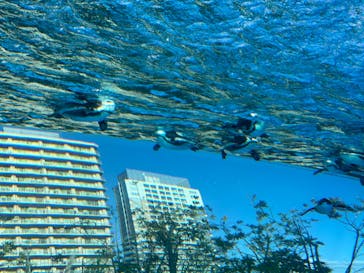 サンシャイン水族館に投稿された画像（2024/2/11）
