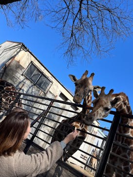 宇都宮動物園に投稿された画像（2024/2/11）