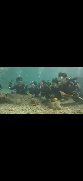 武藤潜水に投稿された画像（2024/2/11）