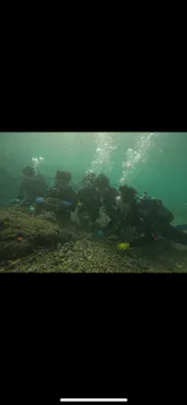 武藤潜水に投稿された画像（2024/2/11）