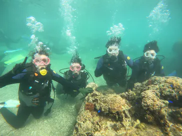 武藤潜水に投稿された画像（2024/2/11）