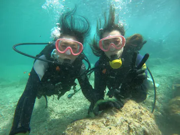 武藤潜水に投稿された画像（2024/2/11）