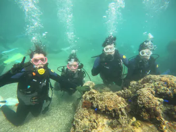 武藤潜水に投稿された画像（2024/2/11）